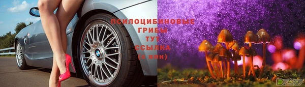 MESCALINE Аркадак