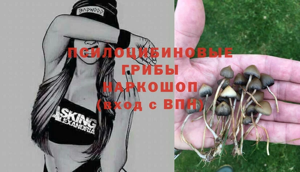 спайс Карпинск