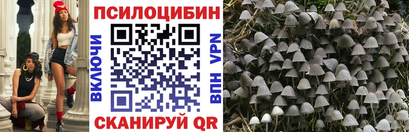 Галлюциногенные грибы Magic Shrooms цены наркотик Артёмовск